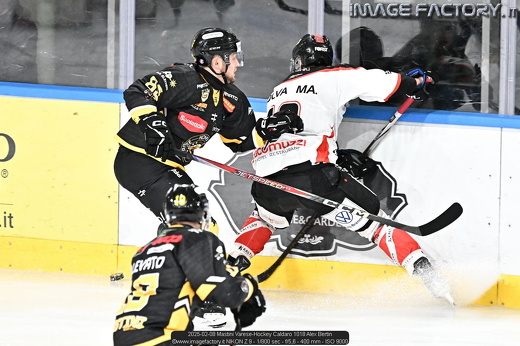 2025-02-08 Mastini Varese-Hockey Caldaro 1018 Alex Bertin